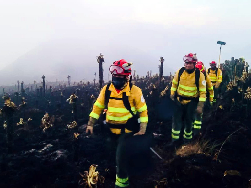Riesgos alerta sobre posibles incendios forestales en Ecuador