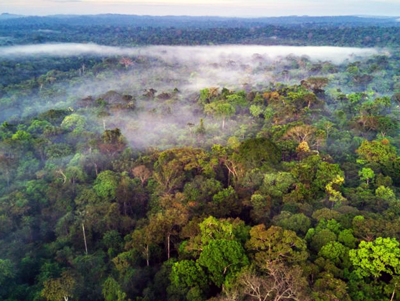 La red de ciudades más antigua de la Amazonía se esconde bajo la selva de Ecuador