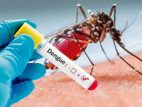 29.111 contagiados y 32 fallecidos por dengue en Ecuador