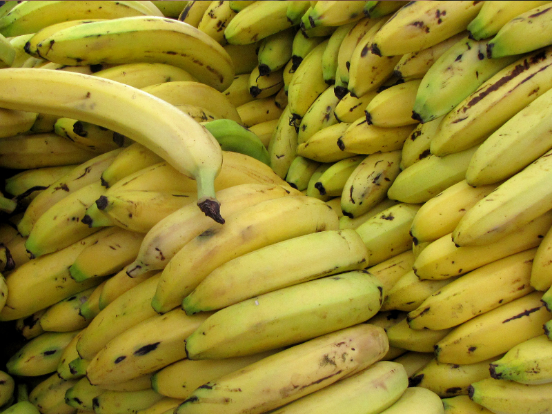 Misión de autoridades ecuatorianas viajará a Rusia para solucionar impase por el banano