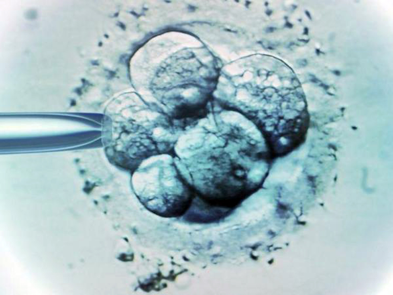 La controvertida decisión judicial en EEUU que considera que los embriones congelados son niños(y los efectos que está teniendo)