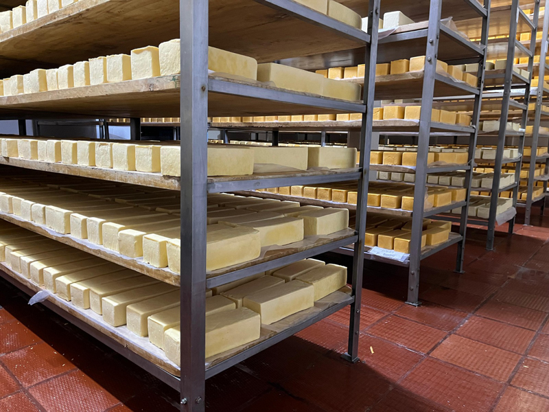 La tendencia en el consumo de quesos semimaduros y maduros al alza en Ecuador