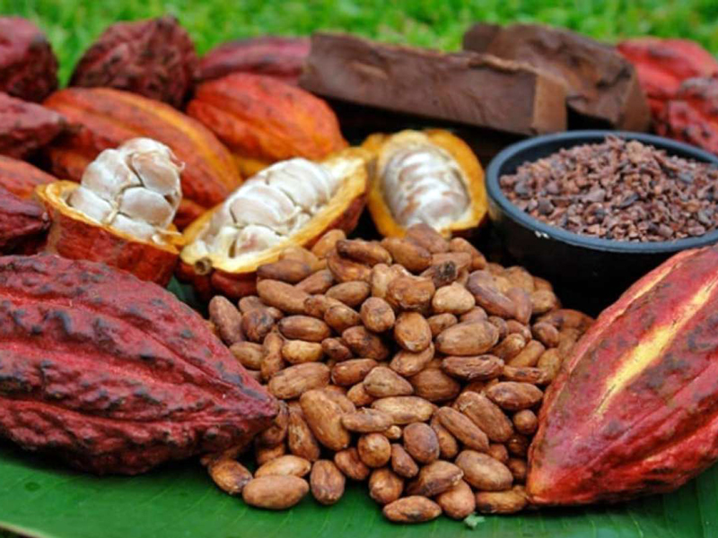 El precio del cacao supera por primera vez los USD 9 000 la tonelada métrica