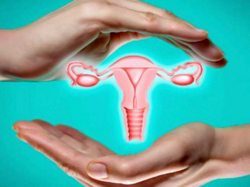 Prevención del cáncer cérvico uterino en agenda de Comisión del Derecho a la Salud