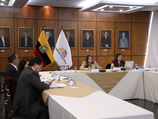 Caso Villavicencio: Comisión convocará a Lasso, Atamaint y Salazar