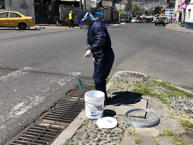 Anuncian operativo de control ante alerta por plagas de roedores en el norte de Quito