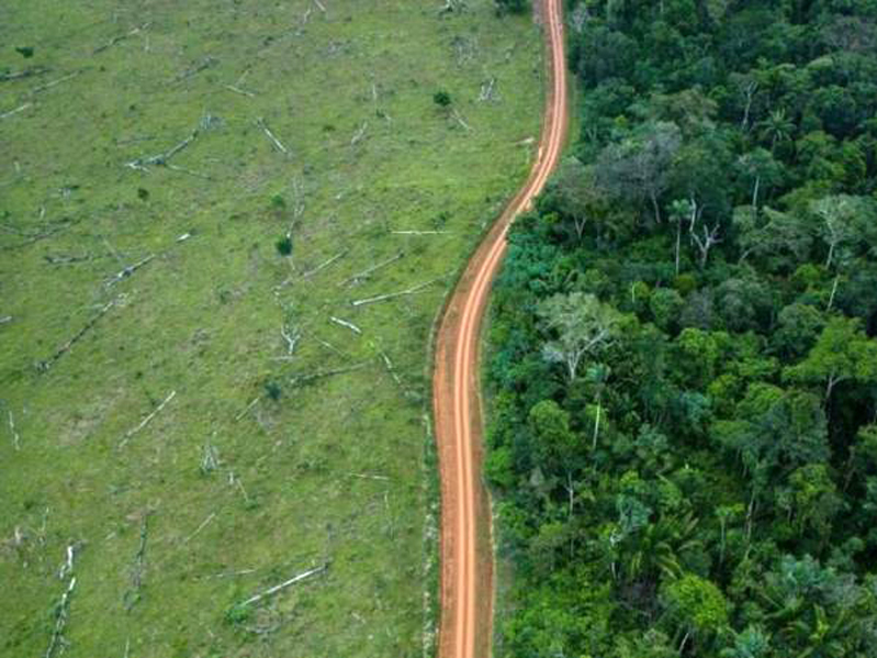 Brasil y Colombia reducen drásticamente sus niveles de deforestación
