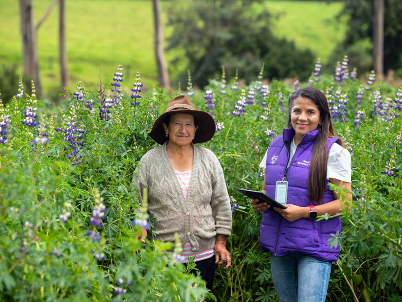 Inicia el Registro Nacional Agropecuario en seis provincias 