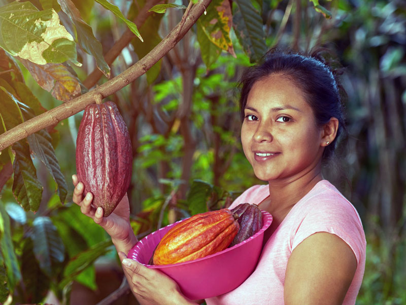 Nuevo boom del cacao: 3 estrategias para que empresarios fortalezcan su competitividad a nivel internacional