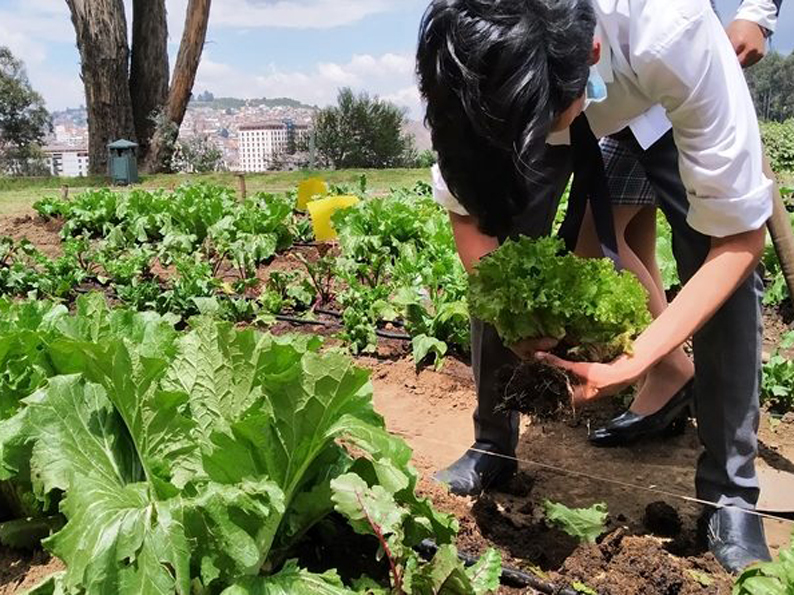 La Plaza Foch acogerá un encuentro de huertos urbanos y reciclaje