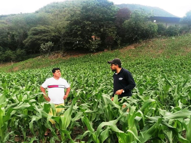 Pindal será sede de rueda de negocios para comercializar maíz duro