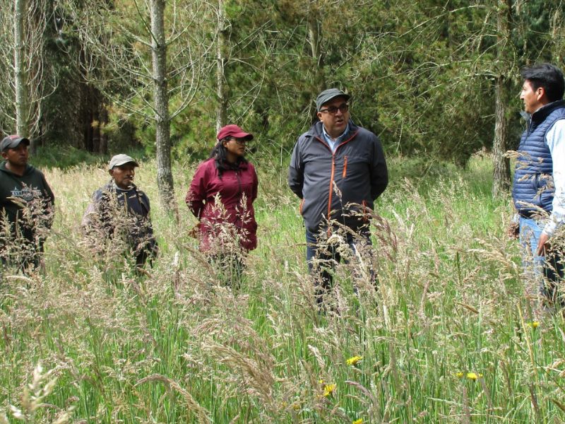 Aglomerados Cotopaxi impulsa el desarrollo de la provincia gracias a iniciativas comunitarias