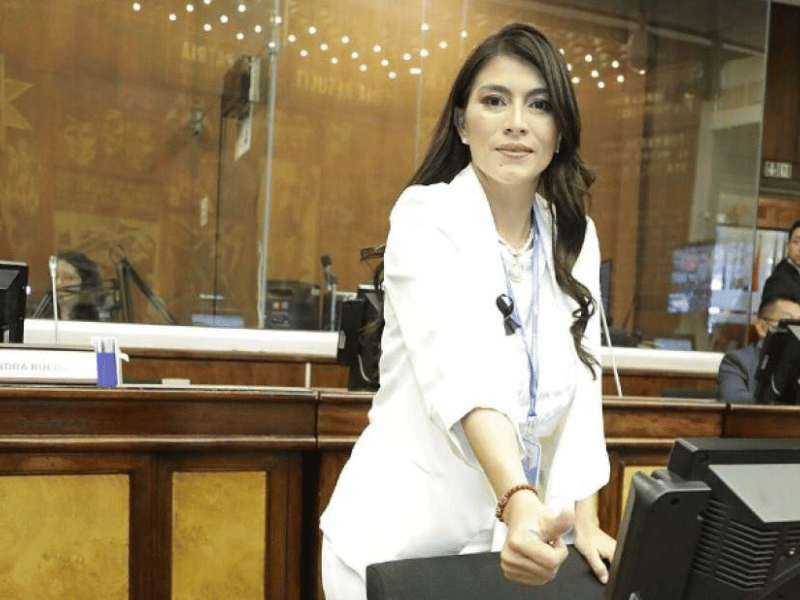 Banca del Gobierno se queda sin una asambleísta