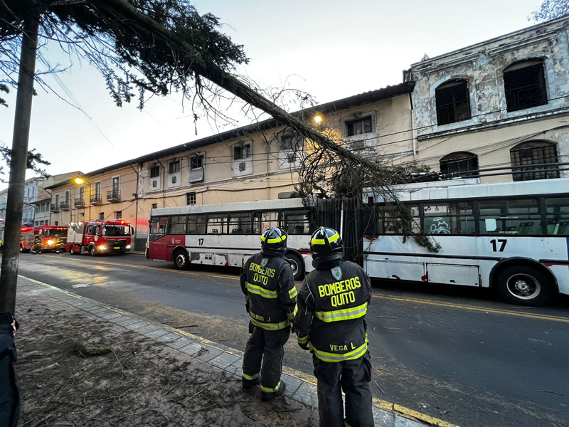 Fuerte viento provoca caídas de árboles en Quito