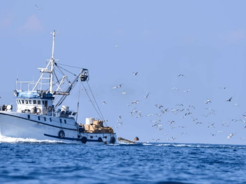 ECUAVESSEL desmiente acusación sobre pesca ilegal del buque Amalis