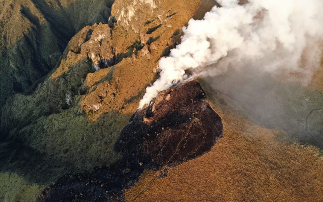 Bomberos combaten incendio forestal                    en las laderas del Pichincha