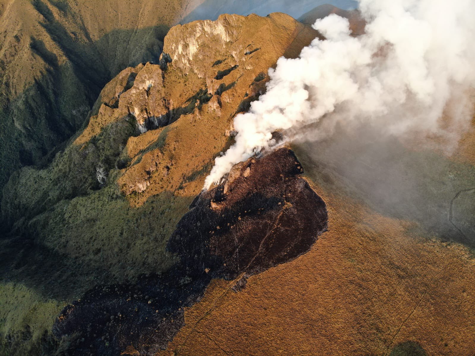 Bomberos combaten incendio forestal                    en las laderas del Pichincha