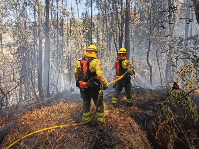 Sequía devastadora drena recursos y amenaza con más incendios en Quito