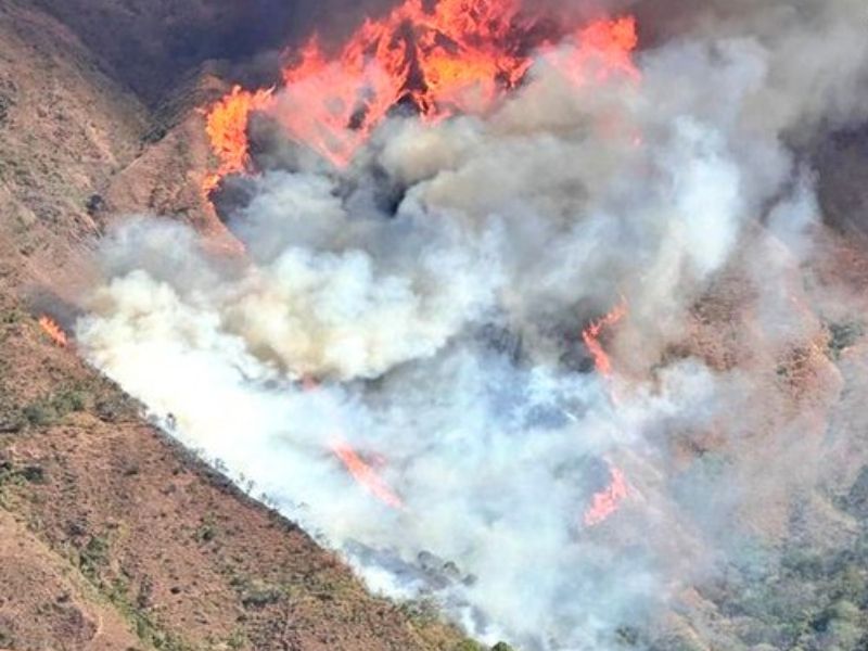 Incendio forestal en Quilanga consume 161 hectáreas de bosque