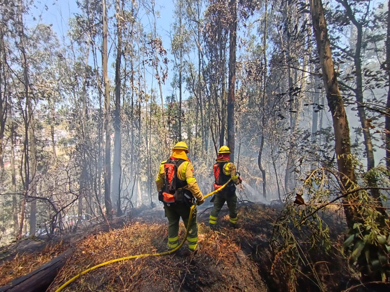 Bomberos de Quito controlan tres incendios forestales en la capital