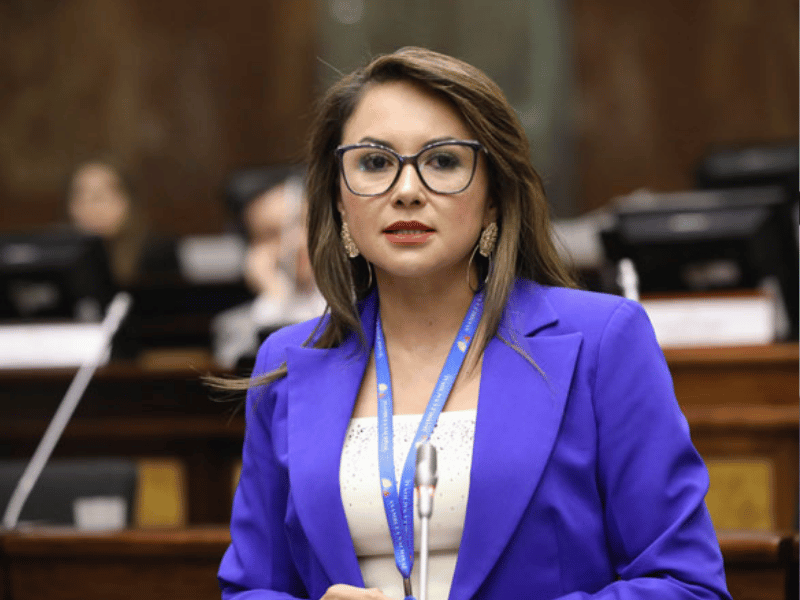 Informe de Noboa no refleja incumplimientos graves: Nataly Morillo