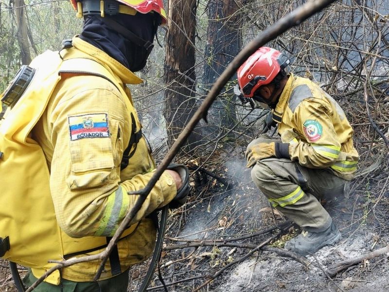 Cinco bomberos resultaron heridos tras incendio en Guápulo