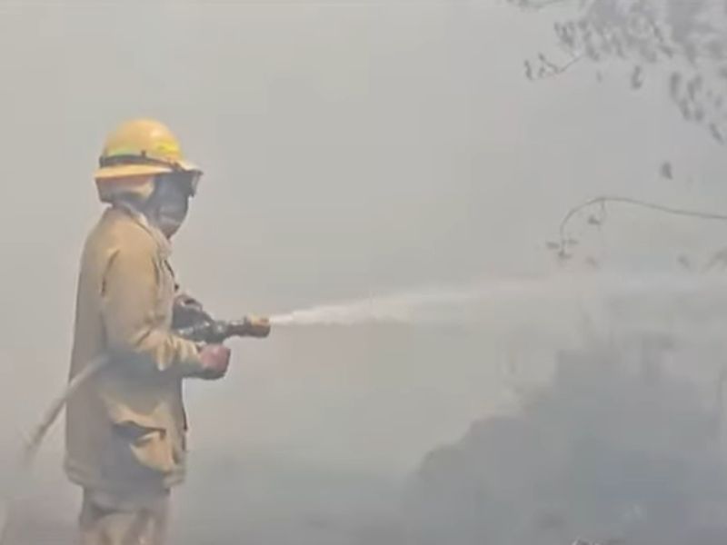 Incendio forestal arrasa con 350 hectáreas de pinos y pajonales en Cotopaxi 