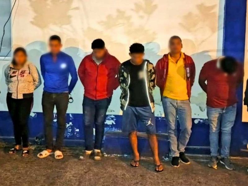 Desarticulan banda criminal dedicada al robo de ganado en Pichincha