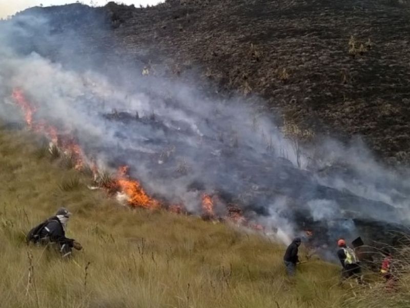 Hombre provocó incendio forestal al intentar extraer cobre de unos cables en Quito