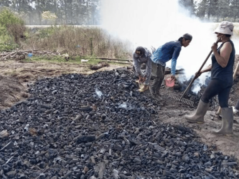 Responsables de incendios forestales enfrentarían multa de hasta USD 34.500