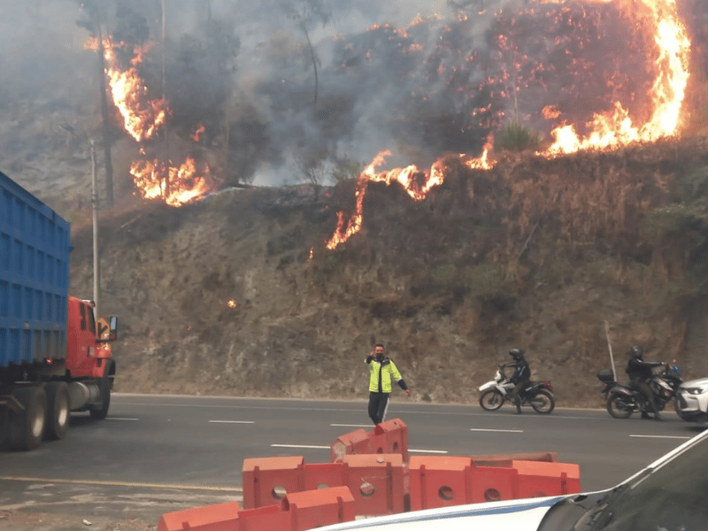 Noboa dispone movilización de helicópteros del Ejército para controlar el incendio en Guápulo