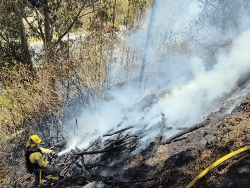 Cierres viales en la Av. Simón Bolívar por incendio forestal en el norte de Quito