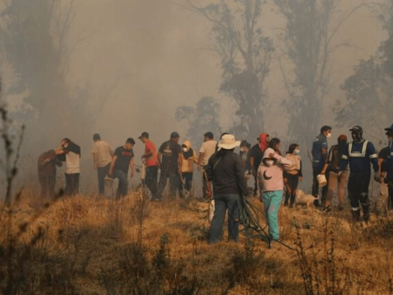 99% de incendios forestales son provocados por el ser humano, dice secretario de Riesgos