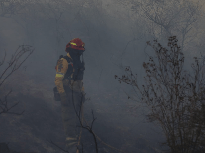 Incendios en Quito obligan a suspensión de clases en 22 instituciones