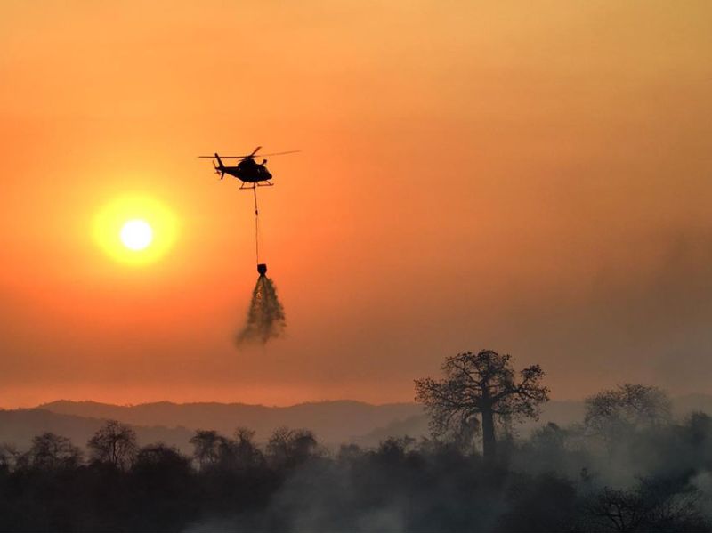 Segura EP coordinó atenciones para controlar 10 incendios forestales en Guayaquil 