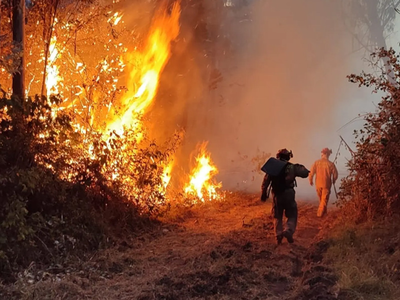 Ecuador enfrenta cinco incendios forestales en medio de sequía