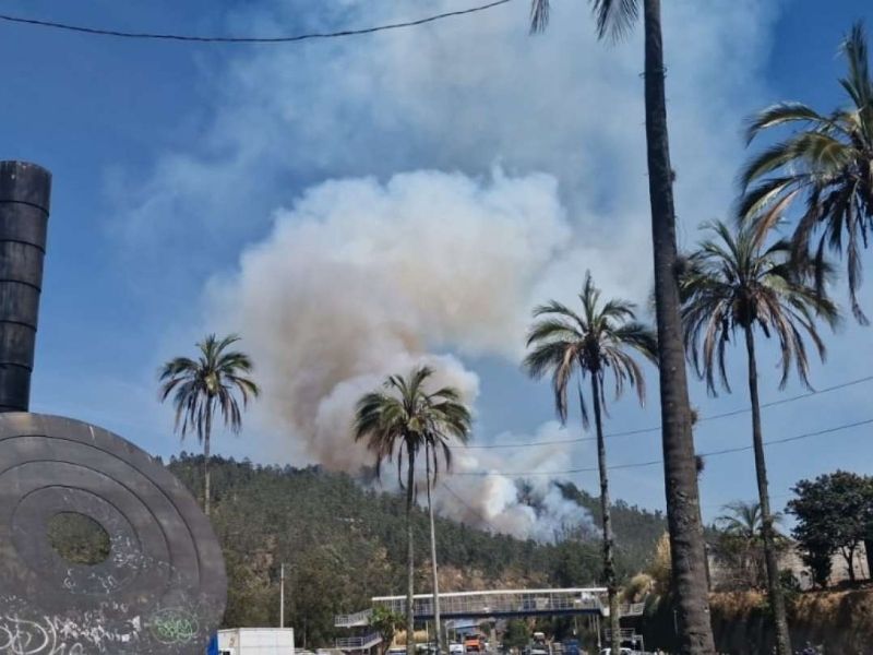 Cinco nuevos incendios forestales azotan a Quito este 24 de septiembre