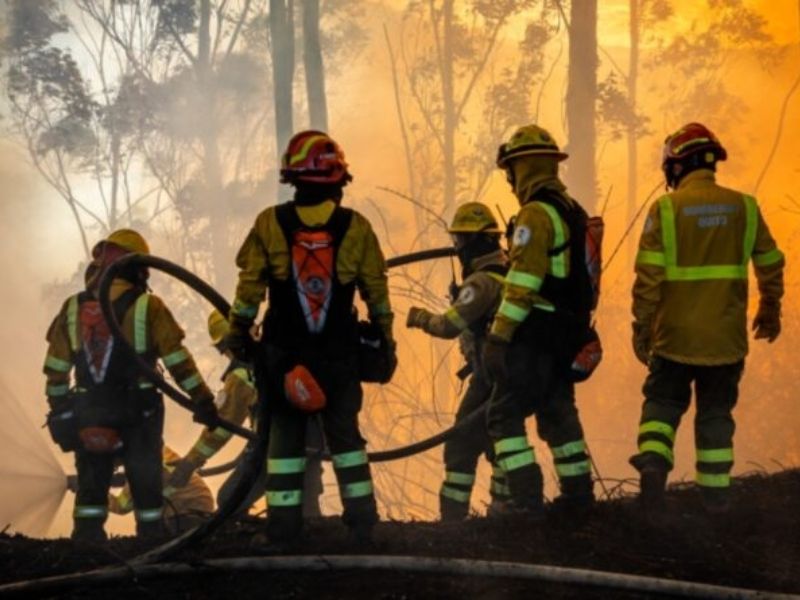 Centro de acopio habilitado para afectados por el incendio forestal en Guápulo