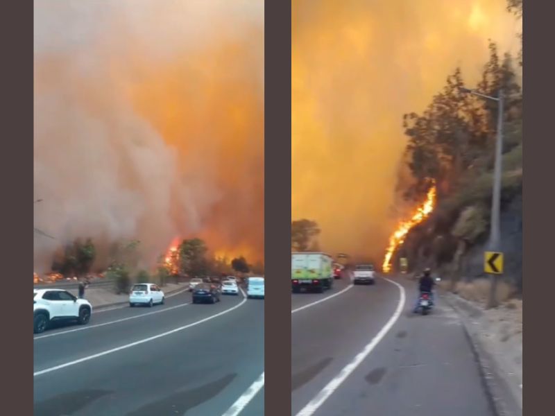 Líneas para denunciar actividades sospechosas relacionadas con incendios