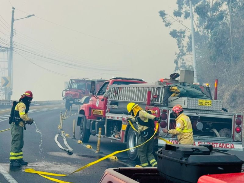 Conmovedoras imágenes del voraz incendio forestal en Quito 