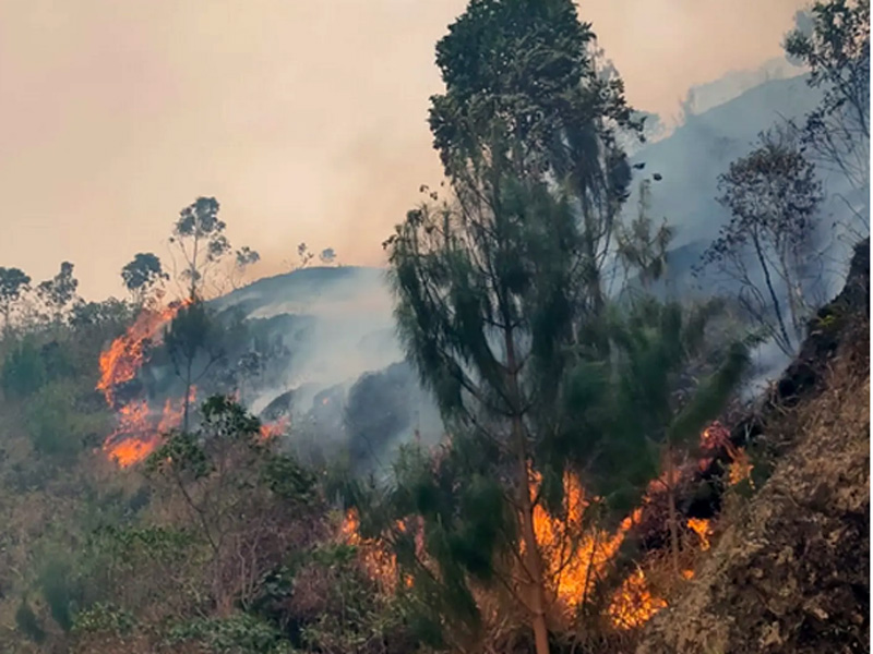 Incendio forestal en Quilanga continúa activo; Colombia enviará ayuda