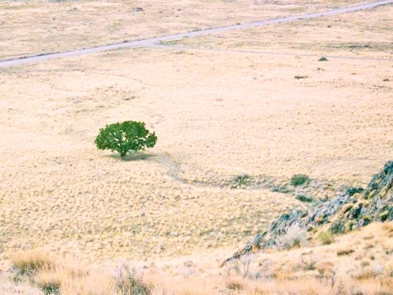 La sequía golpea fuerte a Ecuador: Azuay, Galápagos y Loja, las más afectadas