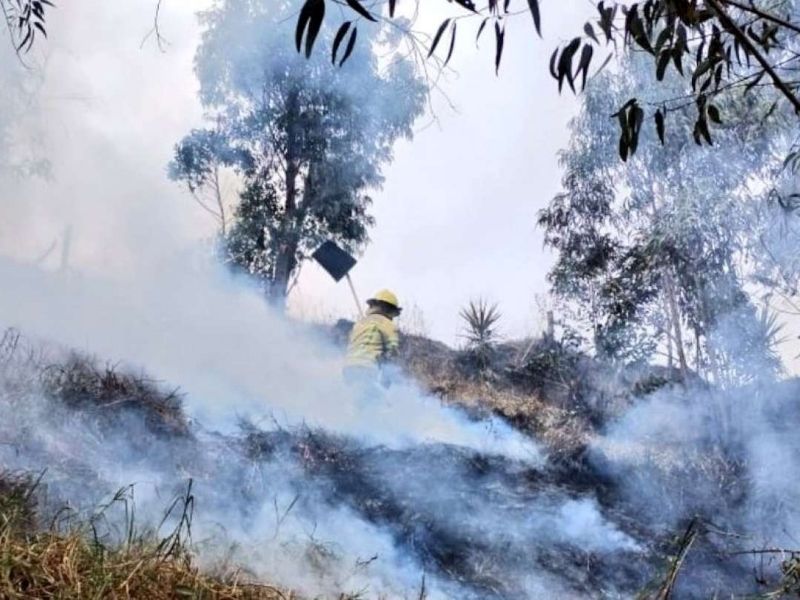 Al menos 770 hectáreas afectadas por incendio forestal activo en Loja