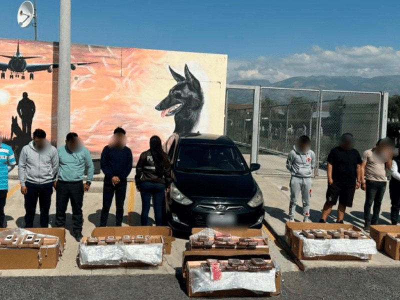 En cajas de flores se intentó enviar 384 paquetes de cocaína desde el Aeropuerto de Quito