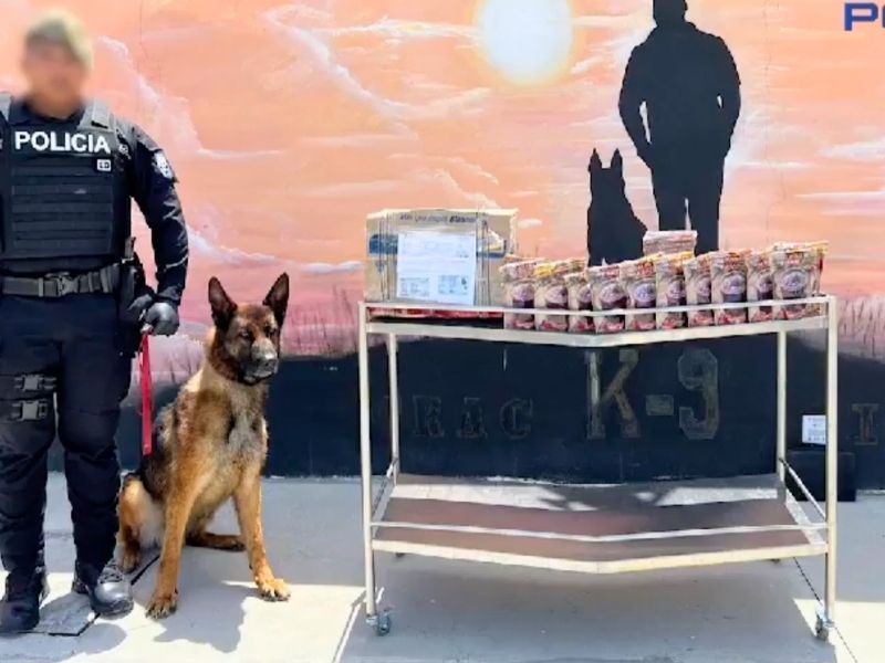 Capturan 17,9 kilos de cocaína ocultos en colada morada con destino a España