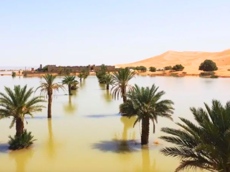 Las raras inundaciones en el desierto del Sahara que no ocurrían desde hace 50 años