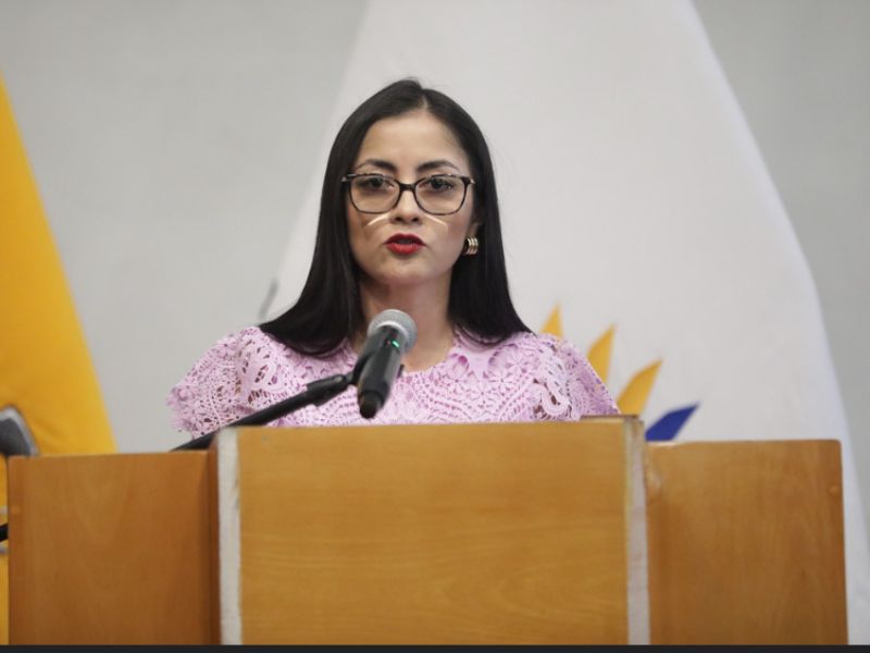 Viviana Veloz sin antecedentes penales ni procesos judiciales abiertos