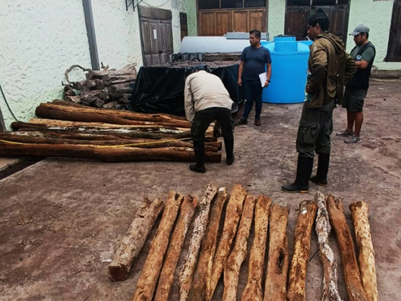 Sentencian a ciudadana por tenencia ilegal de matazarno en Galápagos