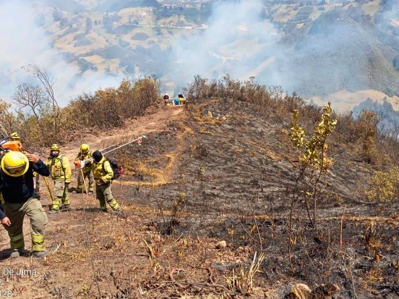 Incendio forestal consume más de 50 hectáreas de bosque en Jima, Azuay