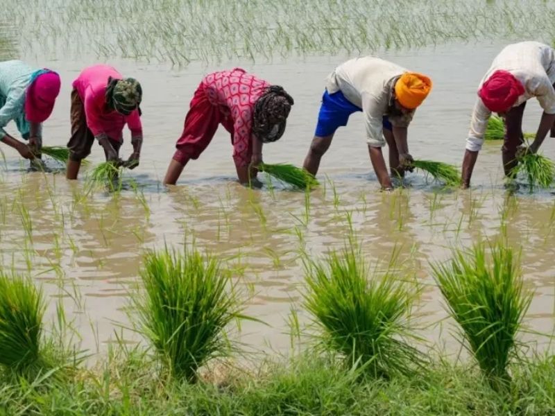 ¿Sabes cuánta agua se usa para producir tu comida? ¡La crisis hídrica está en su punto más crítico!